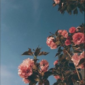 Meet your Posher, Copeland